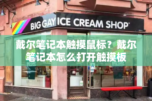 戴尔笔记本触摸鼠标？戴尔笔记本怎么打开触摸板
