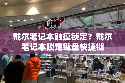 戴尔笔记本触摸锁定？戴尔笔记本锁定键盘快捷键-第1张图片-星选测评