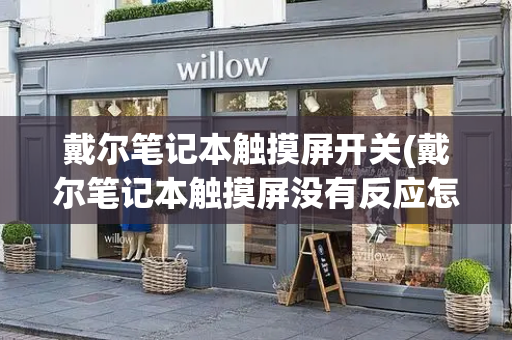 戴尔笔记本触摸屏开关(戴尔笔记本触摸屏没有反应怎么办)