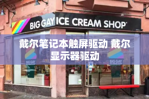 戴尔笔记本触屏驱动 戴尔显示器驱动
