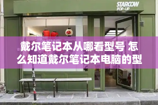 戴尔笔记本从哪看型号 怎么知道戴尔笔记本电脑的型号-第1张图片-星选测评