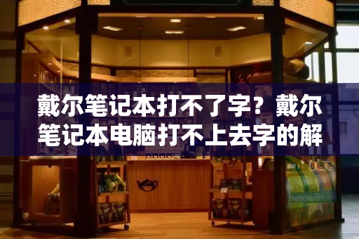 戴尔笔记本打不了字？戴尔笔记本电脑打不上去字的解决方法-第1张图片-星选测评