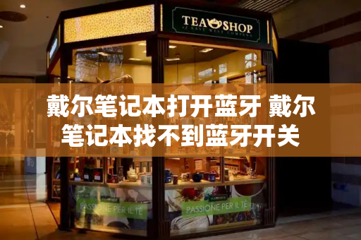 戴尔笔记本打开蓝牙 戴尔笔记本找不到蓝牙开关-第1张图片-星选测评