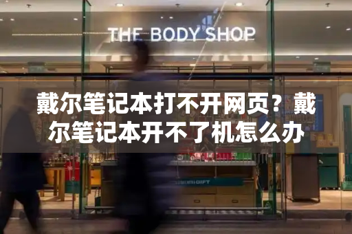戴尔笔记本打不开网页？戴尔笔记本开不了机怎么办-第1张图片-星选测评