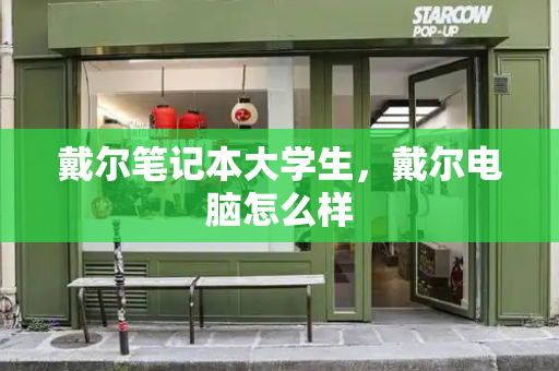 戴尔笔记本大学生，戴尔电脑怎么样-第1张图片-星选测评