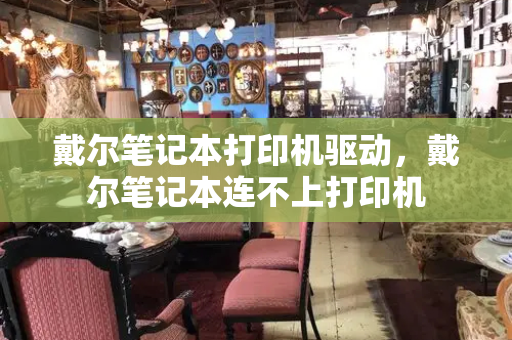 戴尔笔记本打印机驱动，戴尔笔记本连不上打印机-第1张图片-星选测评