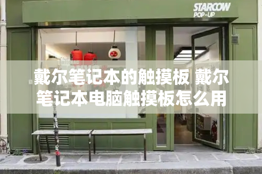 戴尔笔记本的触摸板 戴尔笔记本电脑触摸板怎么用-第1张图片-星选测评