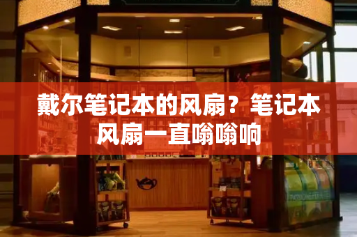 戴尔笔记本的风扇？笔记本风扇一直嗡嗡响