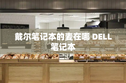 戴尔笔记本的麦在哪 DELL笔记本-第1张图片-星选测评