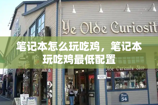 笔记本怎么玩吃鸡，笔记本玩吃鸡最低配置-第1张图片-星选测评