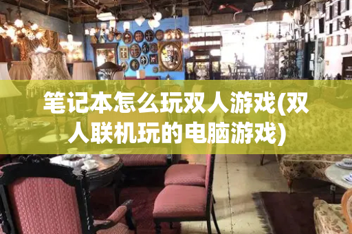 笔记本怎么玩双人游戏(双人联机玩的电脑游戏)
