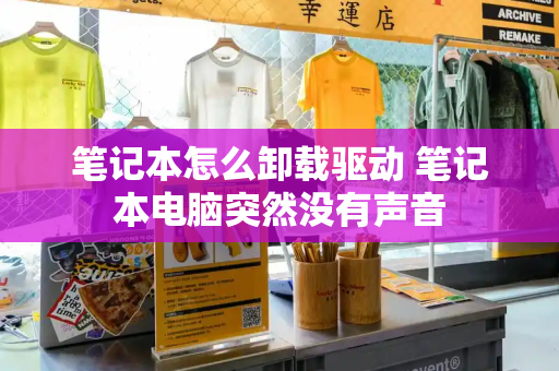 笔记本怎么卸载驱动 笔记本电脑突然没有声音