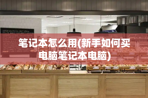 笔记本怎么用(新手如何买电脑笔记本电脑)-第1张图片-星选测评