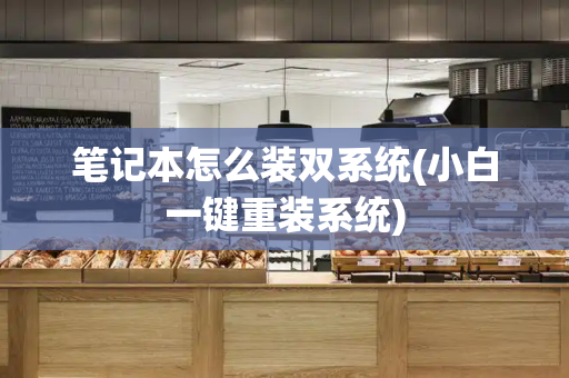 笔记本怎么装双系统(小白一键重装系统)