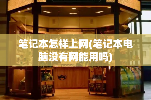 笔记本怎样上网(笔记本电脑没有网能用吗)