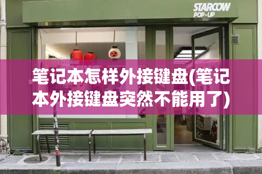 笔记本怎样外接键盘(笔记本外接键盘突然不能用了)-第1张图片-星选测评