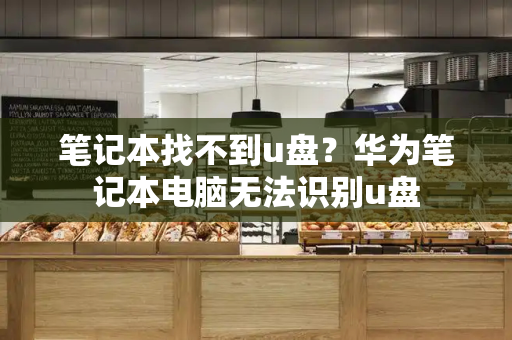 笔记本找不到u盘？华为笔记本电脑无法识别u盘-第1张图片-星选测评