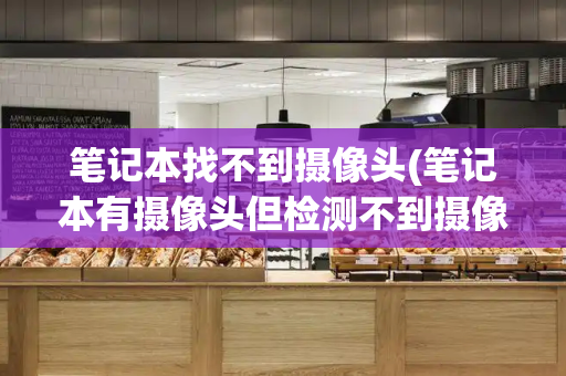 笔记本找不到摄像头(笔记本有摄像头但检测不到摄像头)