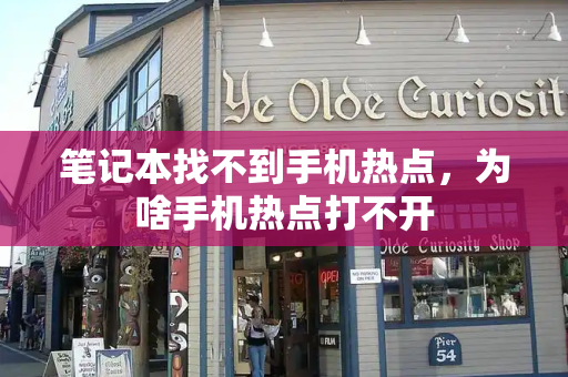 笔记本找不到手机热点，为啥手机热点打不开-第1张图片-星选测评