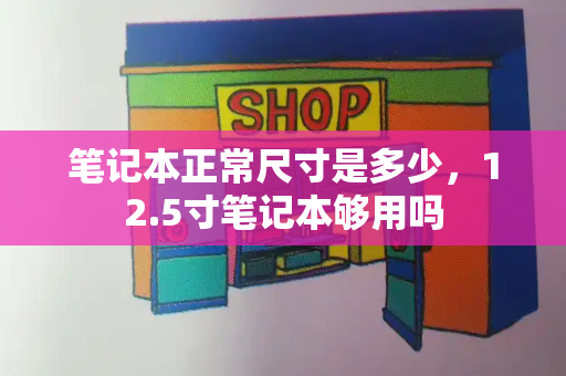 笔记本正常尺寸是多少，12.5寸笔记本够用吗