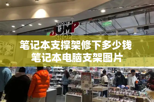 笔记本支撑架修下多少钱 笔记本电脑支架图片