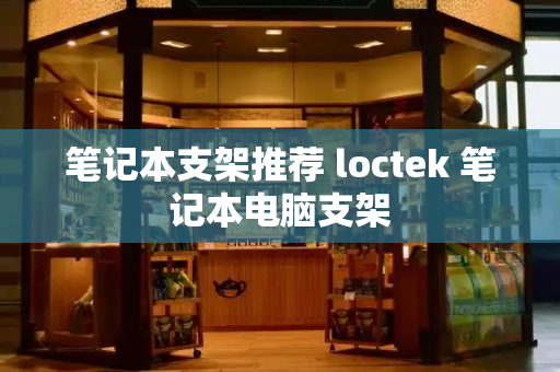 笔记本支架推荐 loctek 笔记本电脑支架