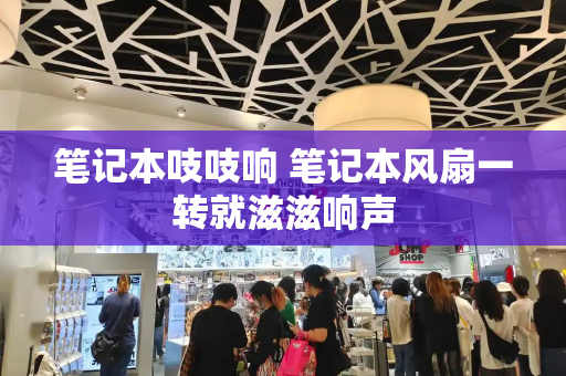 笔记本吱吱响 笔记本风扇一转就滋滋响声