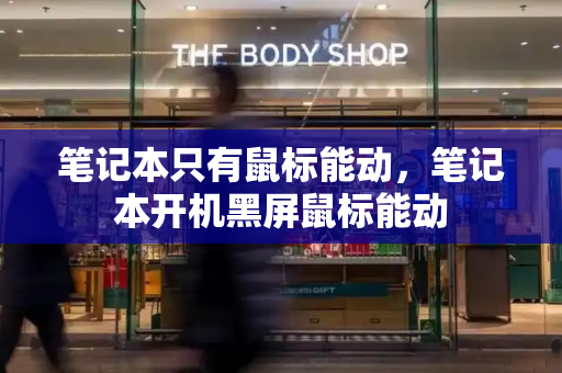 笔记本只有鼠标能动，笔记本开机黑屏鼠标能动
