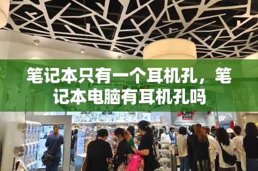 笔记本只有一个耳机孔，笔记本电脑有耳机孔吗-第1张图片-星选测评
