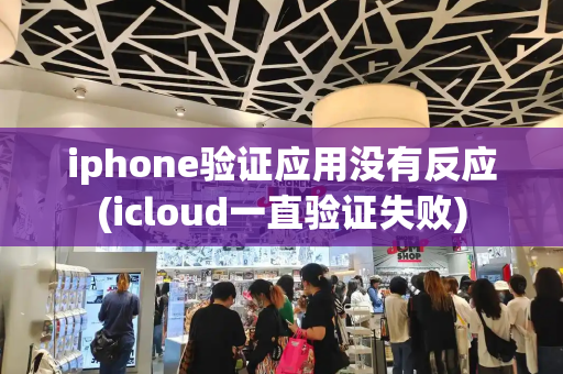 iphone验证应用没有反应(icloud一直验证失败)-第1张图片-星选测评