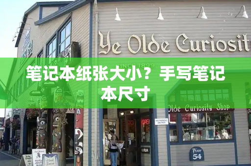 笔记本纸张大小？手写笔记本尺寸-第1张图片-星选测评