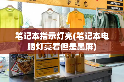 笔记本指示灯亮(笔记本电脑灯亮着但是黑屏)-第1张图片-星选测评