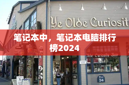 笔记本中，笔记本电脑排行榜2024-第1张图片-星选测评