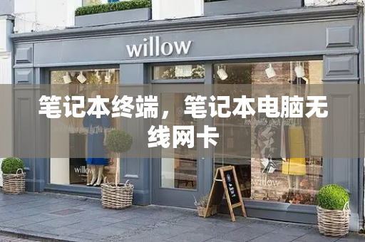 笔记本终端，笔记本电脑无线网卡