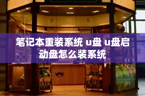 笔记本重装系统 u盘 u盘启动盘怎么装系统-第1张图片-星选测评