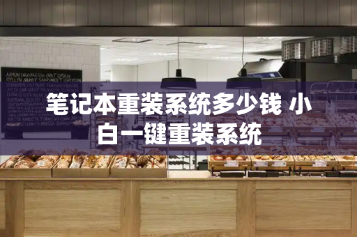 笔记本重装系统多少钱 小白一键重装系统