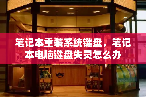 笔记本重装系统键盘，笔记本电脑键盘失灵怎么办