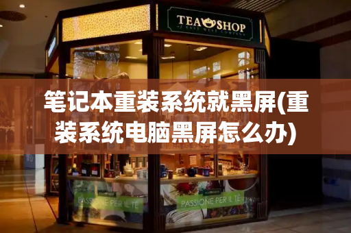 笔记本重装系统就黑屏(重装系统电脑黑屏怎么办)-第1张图片-星选测评