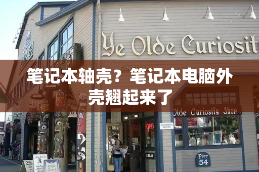 笔记本轴壳？笔记本电脑外壳翘起来了