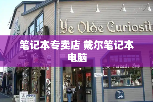 笔记本专卖店 戴尔笔记本电脑-第1张图片-星选测评