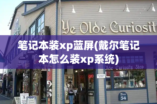 笔记本装xp蓝屏(戴尔笔记本怎么装xp系统)-第1张图片-星选测评