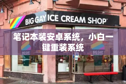笔记本装安卓系统，小白一键重装系统-第1张图片-星选测评