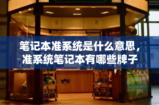 笔记本准系统是什么意思，准系统笔记本有哪些牌子