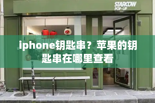 iphone钥匙串？苹果的钥匙串在哪里查看