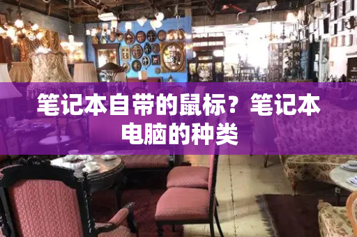 笔记本自带的鼠标？笔记本电脑的种类