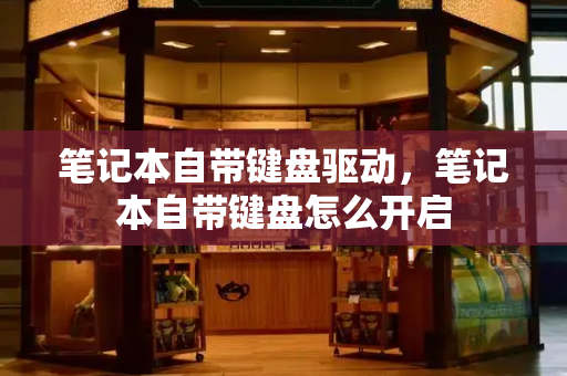 笔记本自带键盘驱动，笔记本自带键盘怎么开启