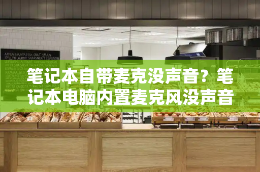 笔记本自带麦克没声音？笔记本电脑内置麦克风没声音怎么办-第1张图片-星选测评