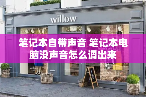 笔记本自带声音 笔记本电脑没声音怎么调出来