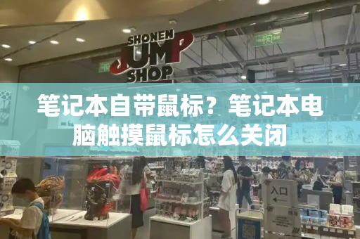 笔记本自带鼠标？笔记本电脑触摸鼠标怎么关闭-第1张图片-星选测评