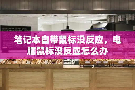 笔记本自带鼠标没反应，电脑鼠标没反应怎么办